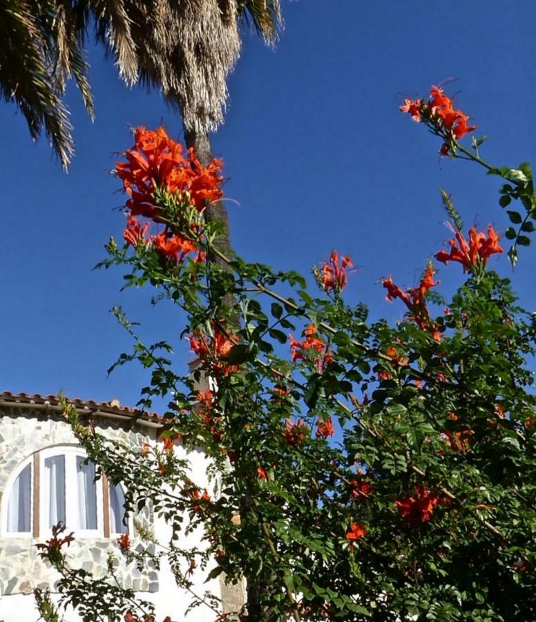 Villa Benavero Boutique Style Within Fenced Tropical Garden Calp Exterior foto